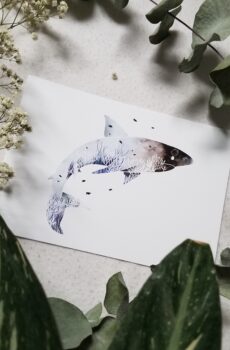 Affiche "Requin" [Print A5]